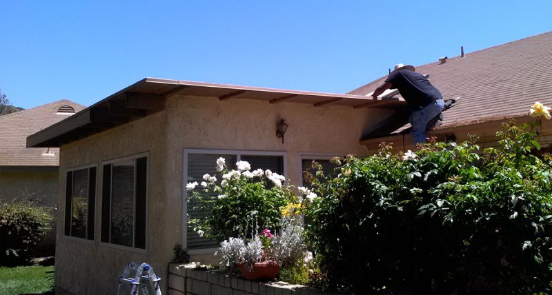 BPC Pest Control in Ventura, Santa Barbara, and western Los Angeles ...
