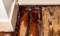 BPC Pest Control in Ventura, Santa Barbara, and western Los Angeles ...