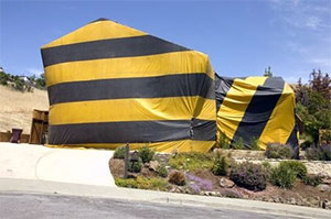 Home fumigated for termites